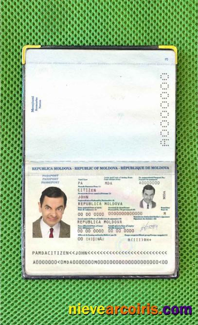 Moldova passport (2011-2014) photolook